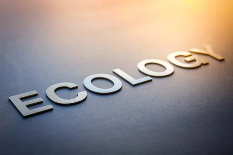 Word ecology written with white solid letters Foto stock