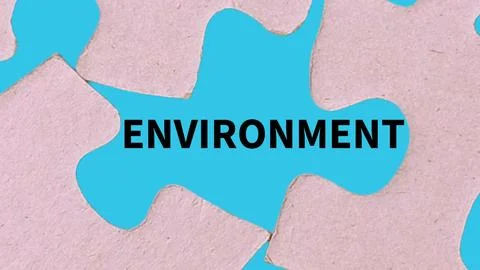 The word environment in the gap of the puzzle Stock Photos