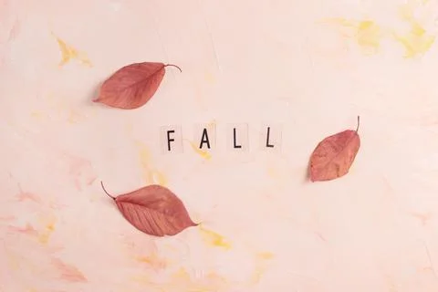 Word FALL and red fall leaves on pink background Autumn mood, copy space Foto stock