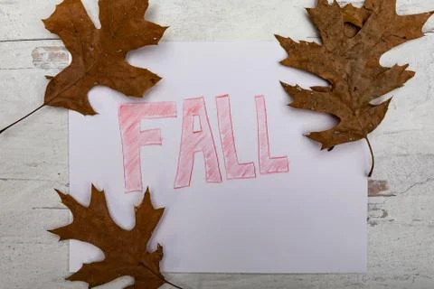 Word fall on a white sheet of paper with leaves framing sign Stock Photos