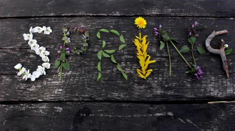 Word of the folded petals of spring wind blows Stock Footage 23853901