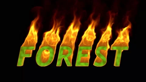 The word Forest is on fire Stock Footage 150043128
