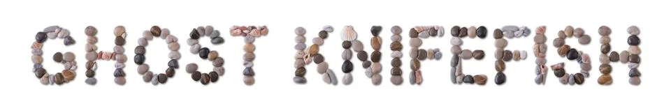 The word "GHOST KNIFEFISH" is lined with shells and stones of different sha.. Stock Illustration