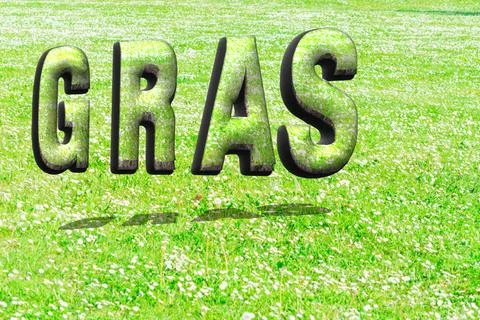 The word grass in green grass structure in 3D The word grass in green gras... Stock Photos