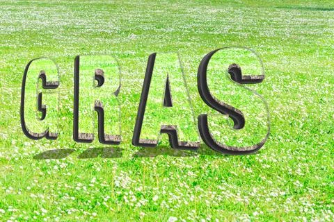 The word grass in green grass structure in 3D The word grass in green gras... Stock Photos