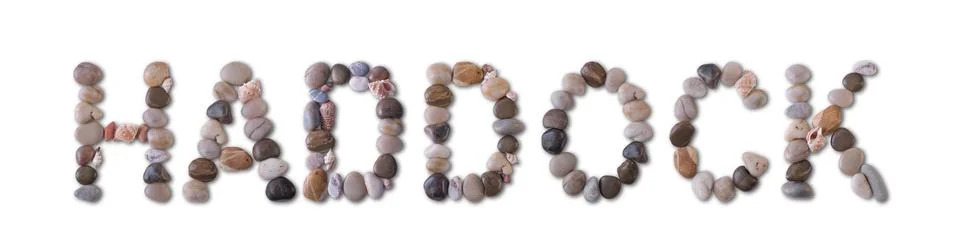 The word "HADDOCK" is lined with shells and stones of different shapes and .. Stock Photos