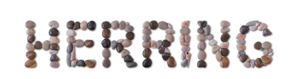 The word "HERRING" is lined with shells and stones of different shapes and .. 스톡 사진