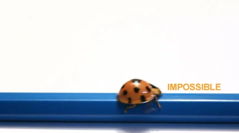 Word impossible change to Possible. Stock Footage 43208675