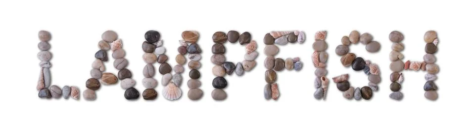 The word "LAMPFISH" is lined with shells and stones of different shapes and.. Stock Photos
