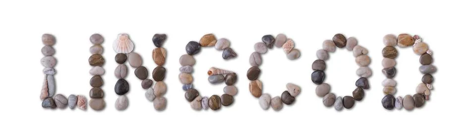 The word "LINGCOD" is lined with shells and stones of different shapes and co Stock Photos