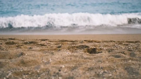 The word love is made of shells on the sand Video stock 220732527