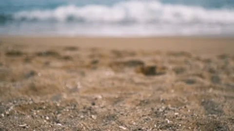 The word love is made of shells on the sand Stock Footage 220732539