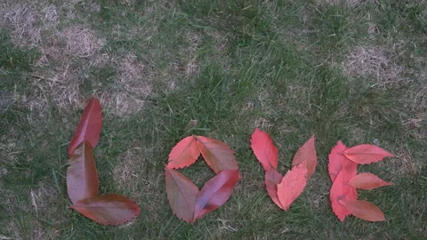 The word “love” written using leaves. Stock Footage 95386190
