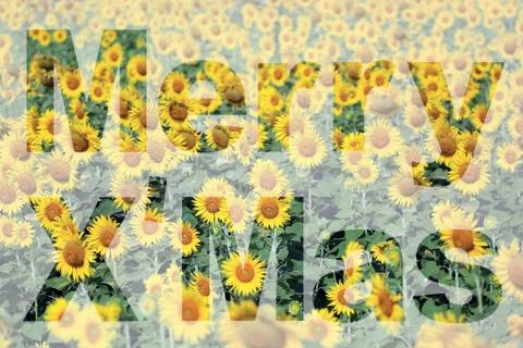 Word merry x'mas Stock Illustration