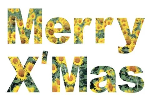 Word merry x'mas Stock Illustration