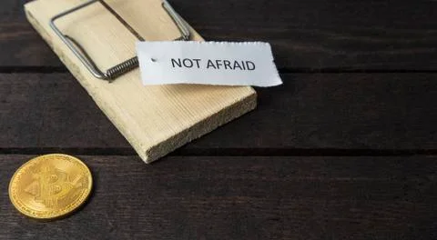 The word: Not afraid pinned on mouse trap with bitcoin. Stock Photos