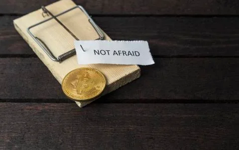 The word: Not afraid pinned on mouse trap with bitcoin. Stock Photos