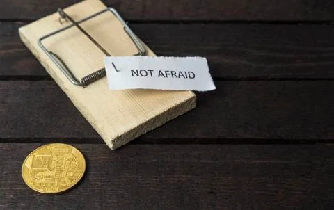 The word: Not afraid pinned on mouse trap with backside of bitcoin. Stock Photos