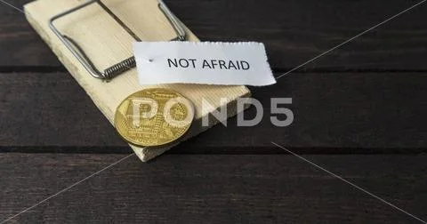 The word: Not afraid pinned on mouse trap with backside of bitcoin. Stock Photos