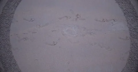 The word one written in the sand Stock Footage 58649766