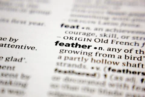 Word or phrase feather in a dictionary. Stock Photos
