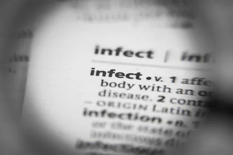 Word or phrase infect in a dictionary. Stock Photos