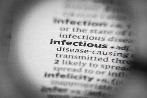 Word or phrase infectious in a dictionary. Stock Photos