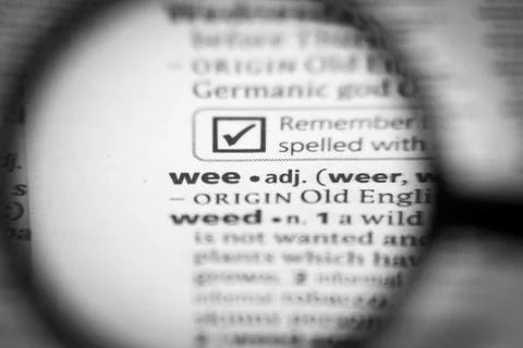 Word or phrase wee in a dictionary. Stock Photos