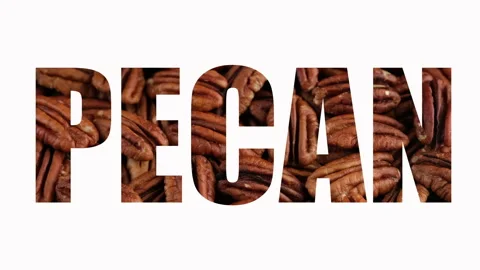 A word Pecan on white background Stock Footage 238371573
