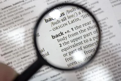 The word of phrase - back - in a dictionary. Stock Photos