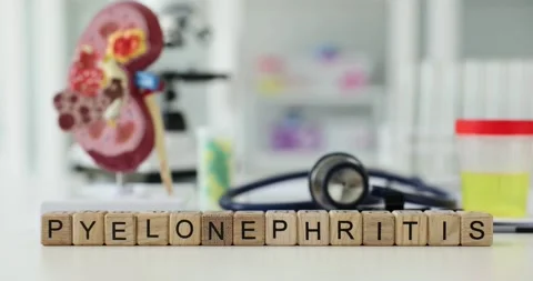 Word pyelonephritis inflammation of kidneys and treatment in clinic Stock Footage 243266905