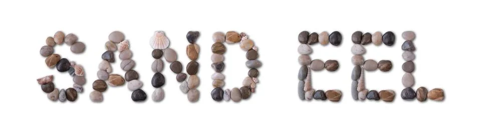 The word "SAND EEL" is lined with shells and stones of different shapes and c 写真素材