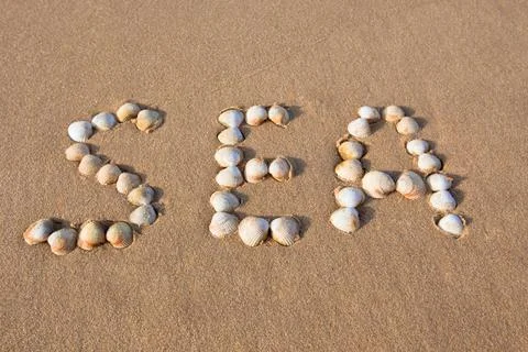 Word "sea" shell written on beach sand 库存照片