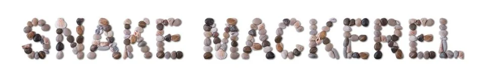 The word "SNAKE MACKEREL" is lined with shells and stones of different shapes 写真素材