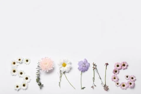 Word SPRING made of beautiful spring flowers on white background Stock Photos