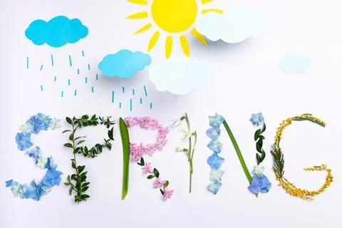 Word spring made of flowers and herbs on white background. Spring creative .. Stock Photos