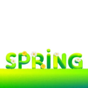 Word Spring made of fur, fluffy flowers daisies, dandelions. Typography, text Stock Illustration