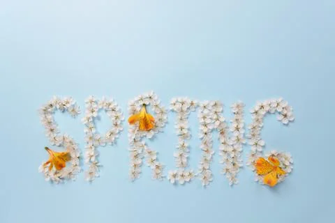 The word Spring made from white cherry blossom flowers and Alstroemeria Stock Photos