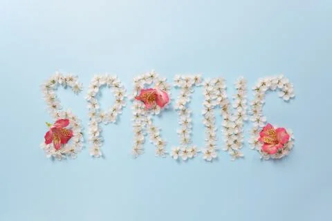The word Spring made from white cherry blossom flowers and Alstroemeria Stock Photos