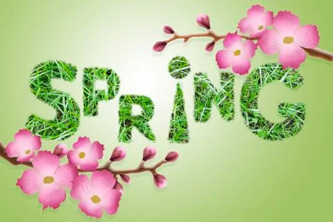 The word "spring" texture of green grass, pink sakura flowers on a green back Stock Illustration