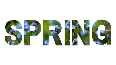The word "spring" on a white background with blue myosotis flowerws Stock Footage 302272042