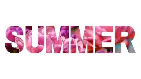 The word "summer" on a white background with bright pink flowers Stock Footage 302009385