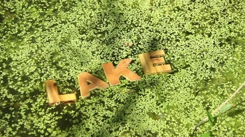 Like Word on the surface of forest lake Video stock 51144906