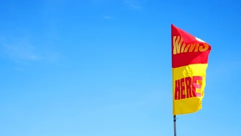 A word Swin Here on the red and yellow flags on the beach.To tell the point s Vídeos de archivo 79738138