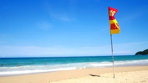 A word Swin Here on the red and yellow flags on the beach.To tell the point s Видео 79738520