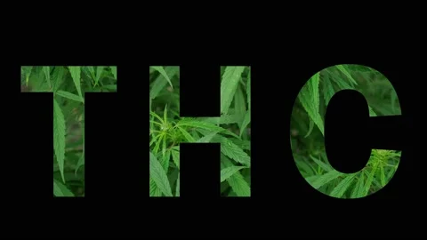 The word THC in the form of marijuana leaves, on a black background 4k Stock Footage 166511295