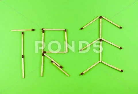 Word tree made of matchsticks Stock Photos