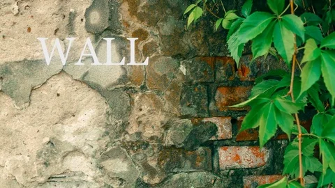 Word Wall on wall Stock Footage 77620522