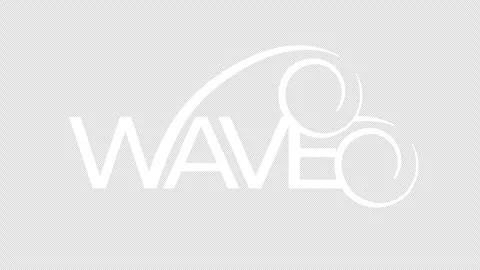 Word wave with abstract wave lines graphic animation. Alpha channel Stock Footage 295864490