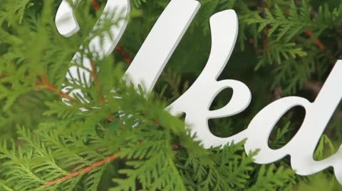 The word wedding in the grass. Vidéo 57905104